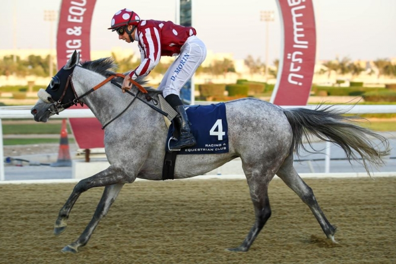 Purebred Arabian Handicap, 1200 m - 13 March 2019