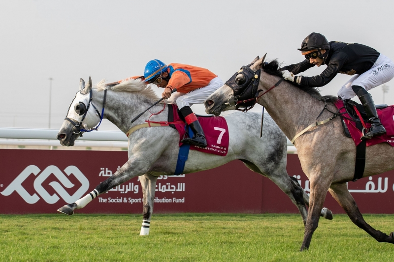 PA Handicap, 1400m - Al Uqda, Qatar, 10 December 2022
©Juhaim/QREC