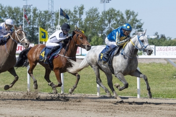 Wathba Stallions Cup (Gr.3PA), 1730 m - Jägersro, Suède, 6 juin 2021
©Stefan Olsson/Svensk Galopp