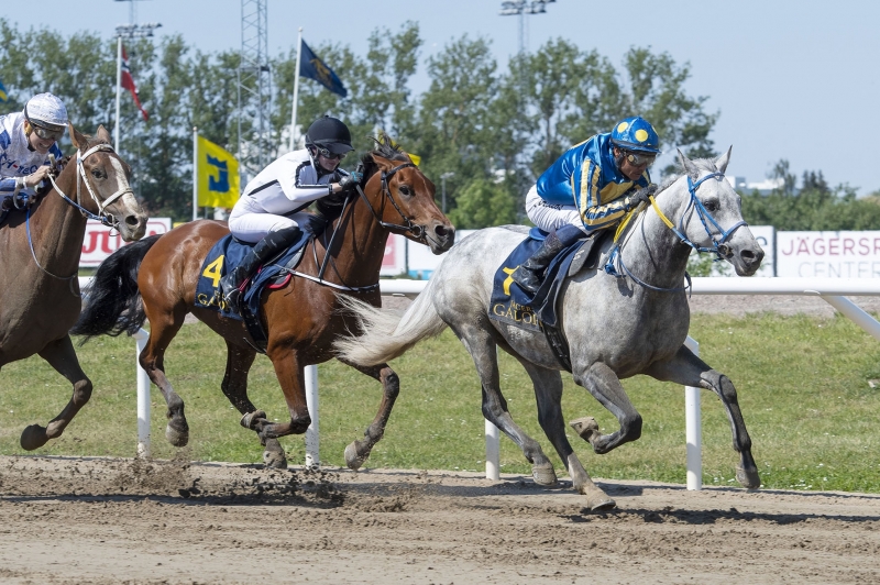 Wathba Stallions Cup (Gr.3PA), 1730 m - Jägersro, Suède, 6 juin 2021
©Stefan Olsson/Svensk Galopp