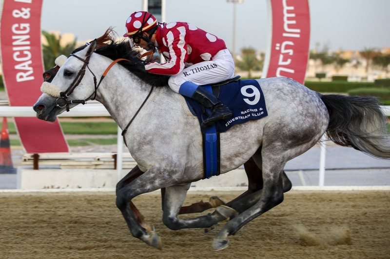Purebred Arabian Graduation Plate, 1700m - Doha, 17 April 2019