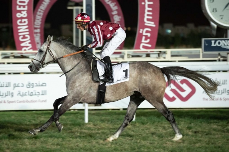 Purebred Arabian Graduation Plate, 2200m - Doha, 16 January 2020