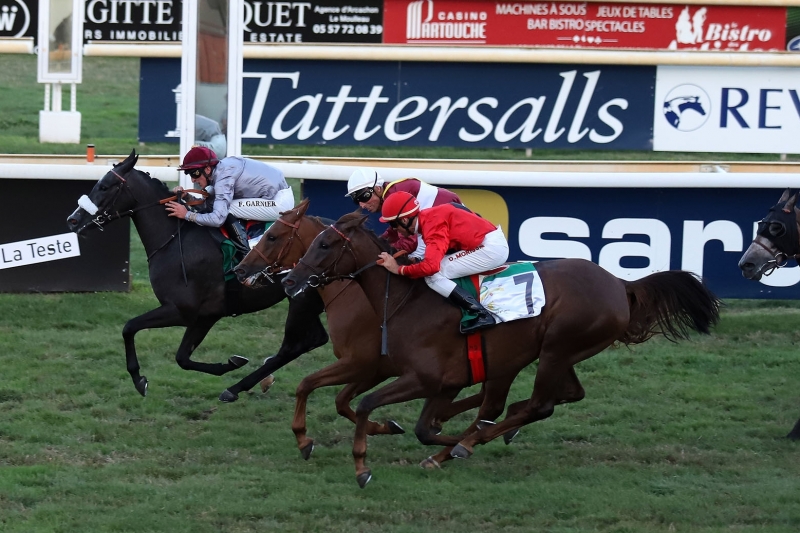 Al Haffanah winner of Prix Mangalie d'Albret - Wathba Stallions Cup - 1st August 2018 La Teste