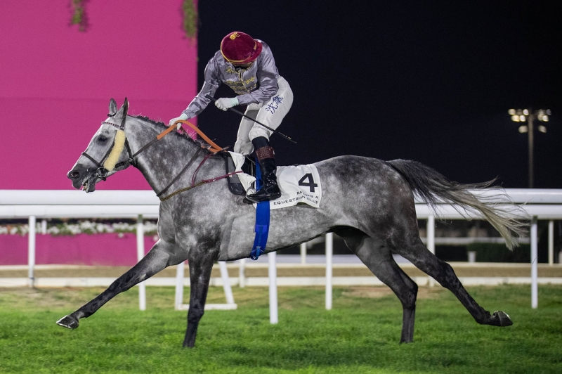 Purebred Arabian Conditions, 1400m - Doha, Qatar, 2nd March 2023
©Juhaim/QREC