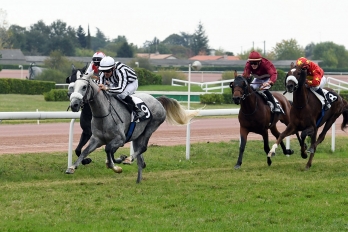 Prix Mohamed Oukili - Agen, 27 octobre 2019