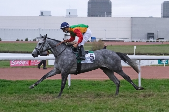 Prix Frédéric Bouas - Wathba Stallions Cup, 2500 m - Agen, 25 octobre 2020