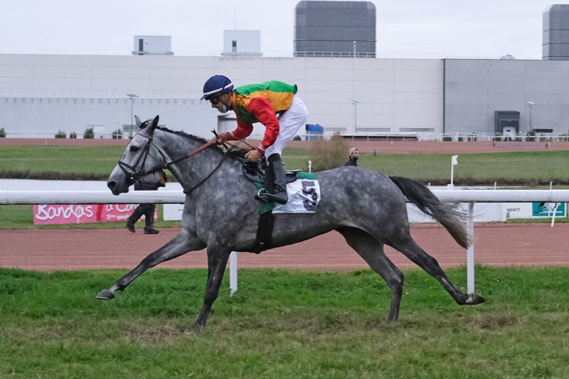 Prix Frédéric Bouas - Wathba Stallions Cup, 2500 m - Agen, 25 octobre 2020