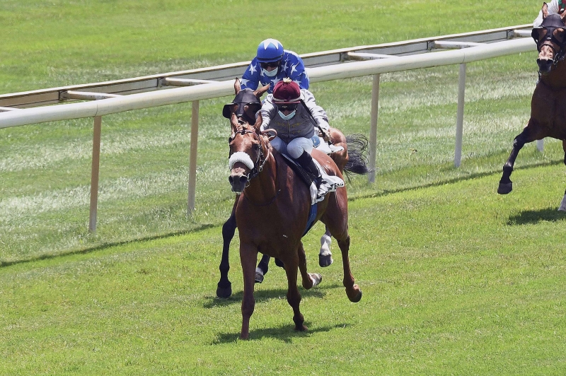 Prix BA Toustem, 2000 m - La Teste de Buch, France, 3 juin 2020
©Roger Berra