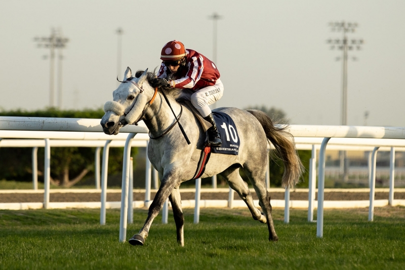 Purebred Arabian Handicap, 1600 m - 27 janvier 2022, Doha, Qatar
©Juhaim/QREC