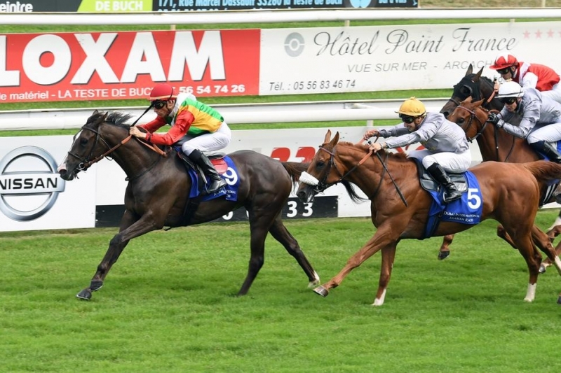 Shadwell - Prix Bengali d'Albret, 1400 m - La Teste de Buch, 2 juillet 2019