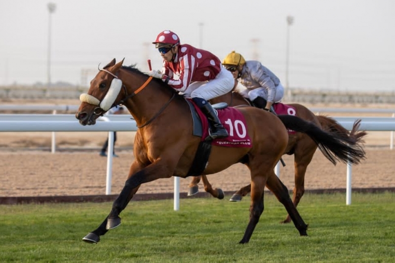 PA Conditions, 2200m-Al Uqda (Qatar), 11 mars 2021
©Juhaim/QREC