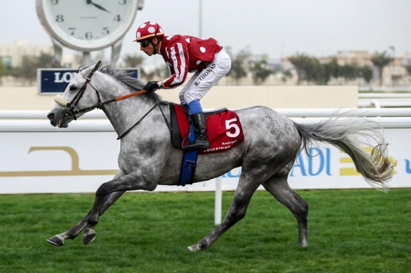 Local P/A Novice Plate, 1850 m - 21 March 2019