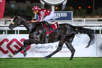 PA plate for 3-y-o, 1600m - Doha, 24 October 2019