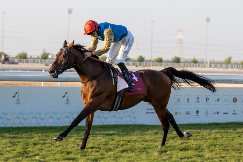 Qatar National Day Trophy (Gr.2PA), 2100 m - Doha, Qatar, 14 décembre 2024
©Juhaim/QREC