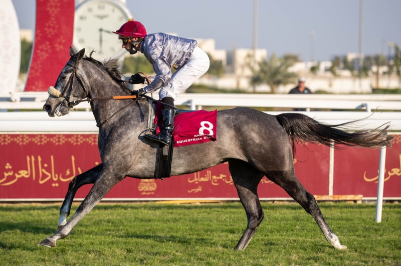 PA Maiden Plate, 1600m - 12 December 2020, Doha, Qatar
©Juhaim / QREC