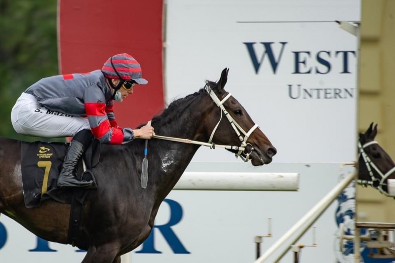 Course pour PSAR de 3 ans, 1800 m - Varsovie, Pologne, 10 octobre 2020