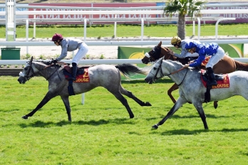 Prix Kriss II-Wathba Stallions Cup, 1600m - 16 April 2022, Toulouse, France
©Robert Polin