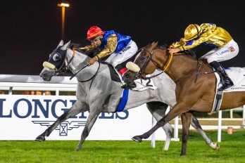 Purebred Arabian Handicap, 1900 m - 24 novembre 2022, Doha, Qatar
©Juhaim/QREC