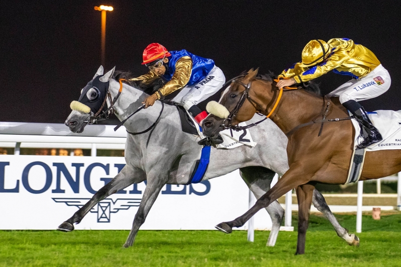 Purebred Arabian Handicap, 1900 m - 24 novembre 2022, Doha, Qatar
©Juhaim/QREC