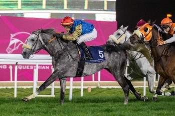 Purebred Arabian Open race, 1850m - Doha, Qatar, 9 March 2023
©Juhaim/QREC