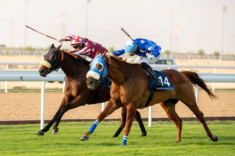 PA Maiden plate, 1400m - Doha, Qatar, 13 November 2021
©Juhaim/QREC