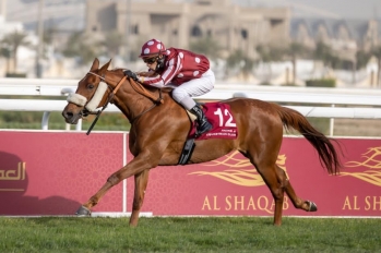 PA Maiden Plate, 1400 m - Doha, Qatar, 1er Avril 2021
©Juhaim/QREC