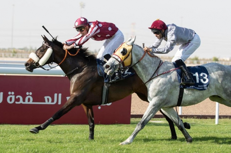 PA Maiden Plate, 1400 m - Al Uqda, Qatar, 11 décembre 2121
©Juhaim/QREC