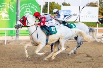 Purebred Arabian Listed Race, 1800 m - Al Ain, EAU, 14 décembre 2024
©ERA