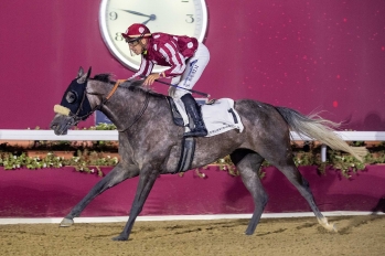 PA Conditions (fillies and mares), 1900 m - 16 mars 2022, Doha, Qatar
©Juhaim/QREC