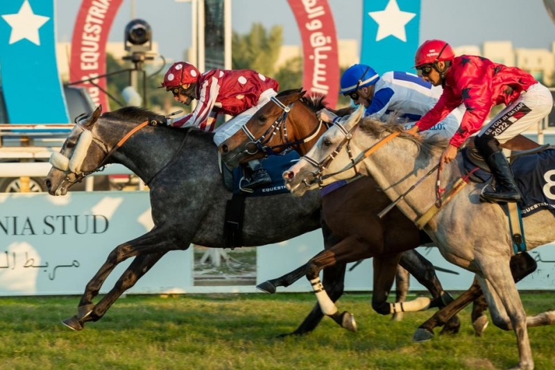 Mared Al Sahra PA Maiden Plate, 2000m - 26 December 2020
