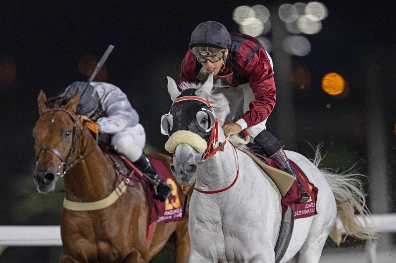 Purebred Arabian Handicap, 1900m - Doha, Qatar, 21 February 2024
©Juhaim/QREC