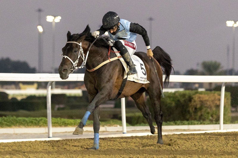 Purebred Arabbian Handicap, 1700 m - 12 janvier 2022, Doha, Qatar
©Juhaim/QREC