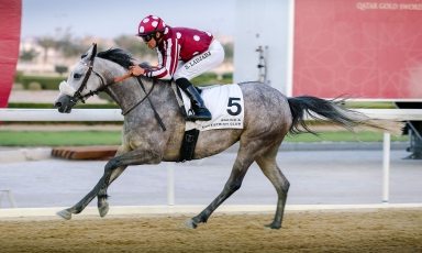 DEUXIÈME VICTOIRE À DOHA POUR BINT AMIR