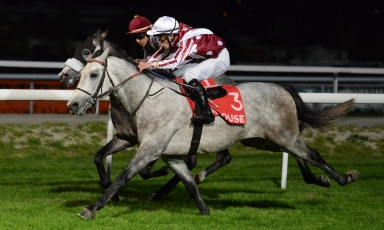 PREMIÈRE VICTOIRE POUR HUSAM