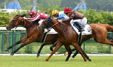 SECONDE VICTOIRE POUR LE POULAIN NAIF