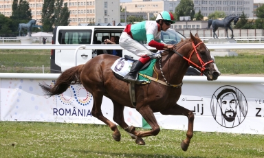 AMEER AL ARAB REMPORTE LA PREMIÈRE WATHBA STALLIONS CUP...