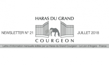 DECOUVREZ NOTRE NEWSLETTER MENSUELLE
