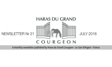 READ OUR MONTHLY NEWSLETTER