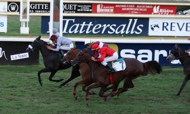 PREMIERE COURSE ET PREMIERE VICTOIRE D’AL HAFFANAH