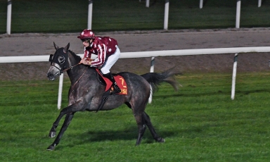 FABC : deux victoires de Groupes PA pour des chevaux...