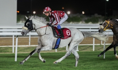 BELLE JOURNEE POUR LES POULAINS DU HARAS DU GRAND COURGEON