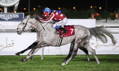 YAZEDD REMPORTE LE QATAR NATIONAL DAY TROPHY