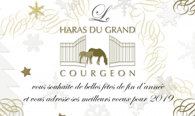 JOYEUX NOËL ET BONNE ANNÉE 2019