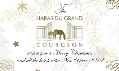 MERRY CHRISTMAS AND HAPPY NEW YEAR 2019