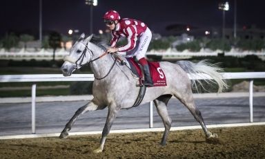 DEUXIÈME VICTOIRE À DOHA POUR DABAAB