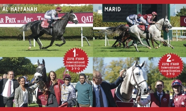 Classement International IFAHR : année 2018