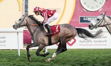 PREMIÈRE VICTOIRE DE BIN GENERAL