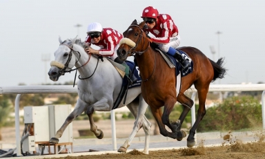 PREMIÈRE VICTOIRE DE BADDA