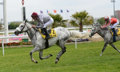 KHATAAB REMPORTE LE PRIX DE CARTHAGE-HANNIBAL (Gr.2PA)