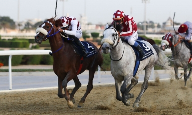 PREMIÈRE VICTOIRE A DOHA POUR HUSAM